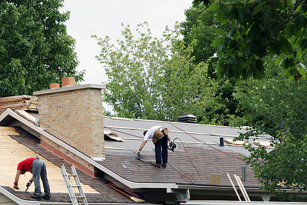 Best Metal Roofing Contractor  in Ellettsville, IN