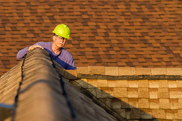 Best Roof Maintenance Services  in Ellettsville, IN